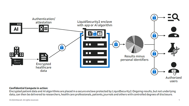 LiquidSecurity2 enclave with app or Al algorithm